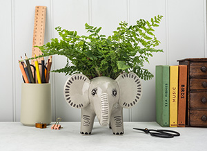 �v�����^�[�E�]�E