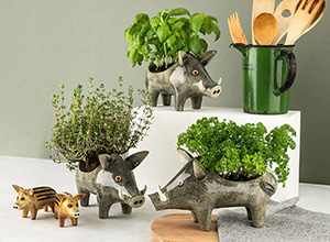 �v�����^�[�E�C�m�V�V�i���C���h�{�A�j