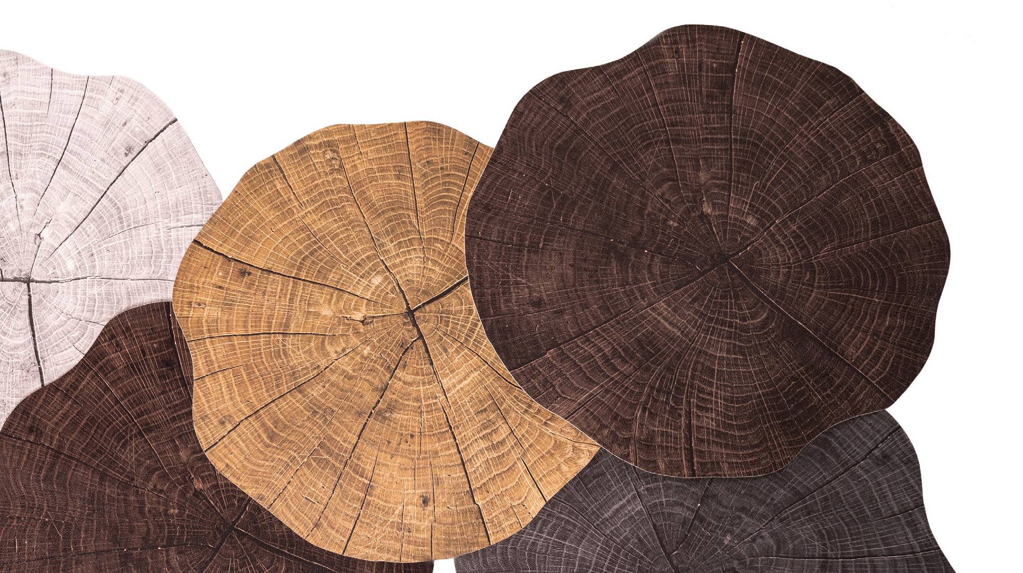 TREE_TRUNK