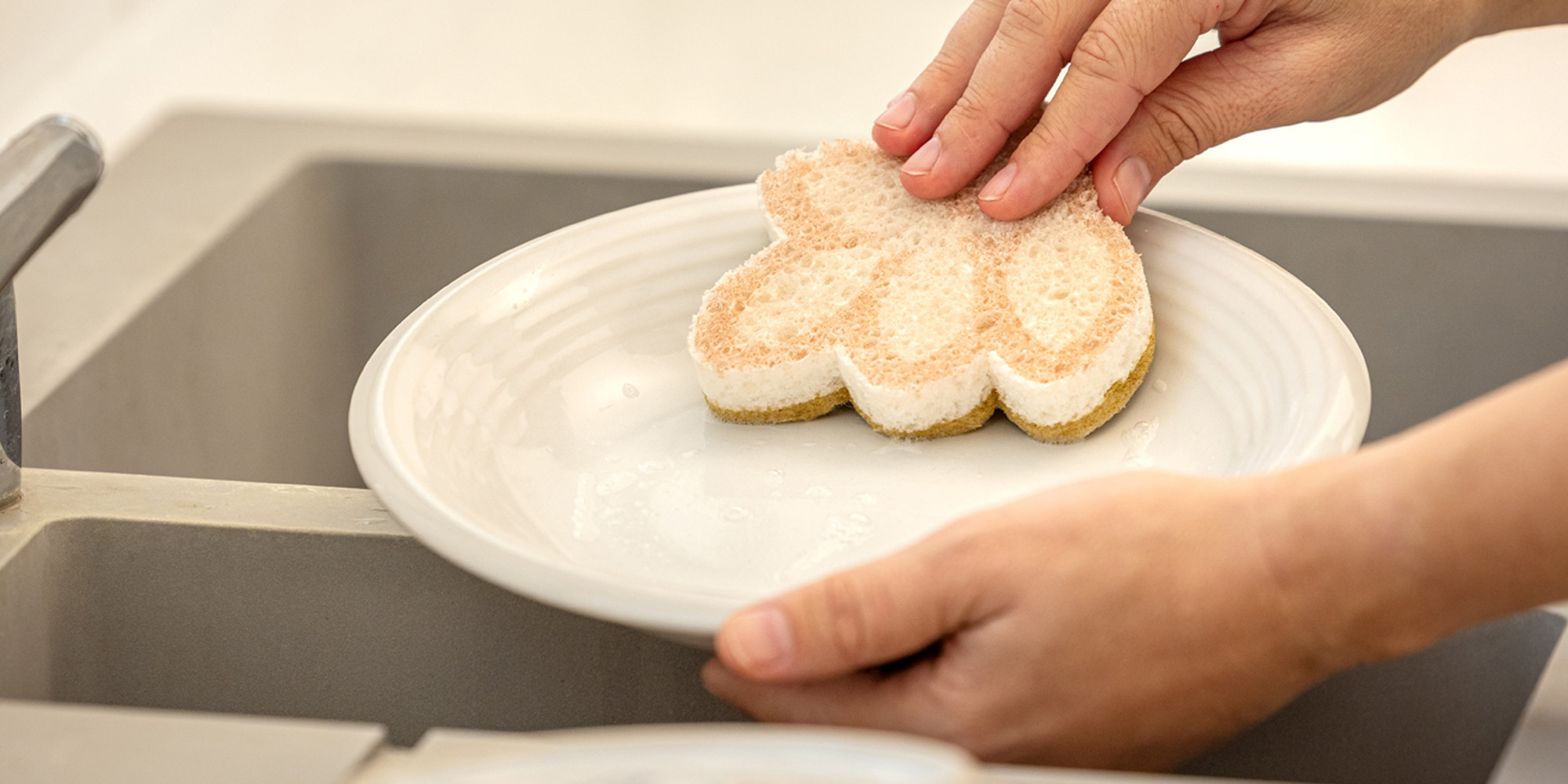 サイザル・セルロース スポンジ